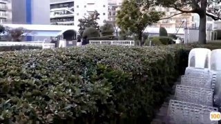大胸业余爱好者接受面部试镜。
